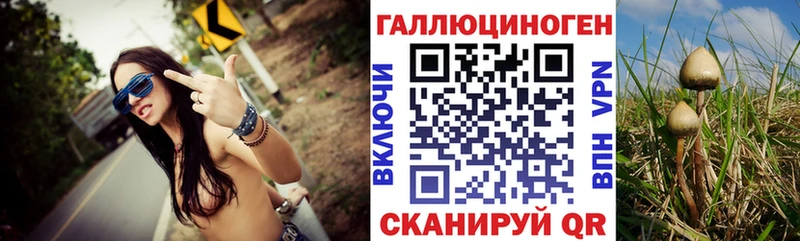 где продают   mega ССЫЛКА  Псилоцибиновые грибы Cubensis  это официальный сайт  Вяземский 
